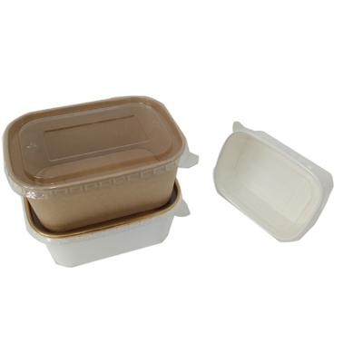 China Disposable Hot Selling Biodegradable Rectangle Box Wrapping Paper Fast Food Salad Square Bowl for sale