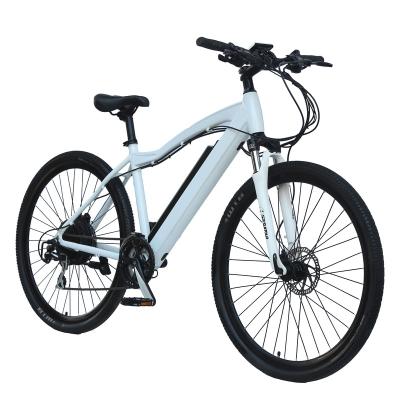 China Lightweight Aluminum Alloy Men Electric Bicycle Mid Motor Frames Mountain Bike for sale