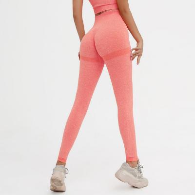 China Fitness Donkey Ladies Gymonna Multicolor Quick Dry Leggings Crac! crack! Workout Breathable Sexy Seamless Shapewear for sale