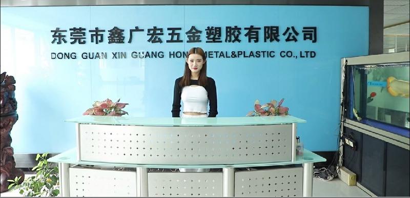 Verified China supplier - Dongguan Xin Guang Hong Metal & Plastic Co., Ltd.