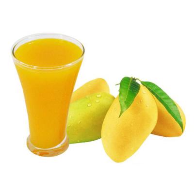 China Wholesale Natural Fruit Juice Drinks Beverage Concentrate Mango Juice for sale