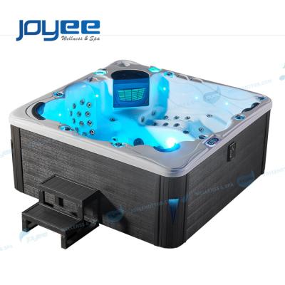 China JOYEE Modern Cheap Price 1 Sofa Balboa Bath Whirlpools 6 Person Spa, Hot Tub, Spa Tub With Quality Guarantee for sale