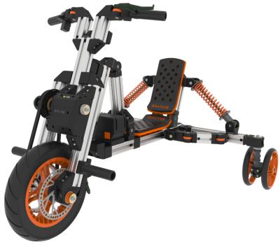 China 2021 DOCYKE Luxury E-Rise Motor Popular Brushless Tricycle 60in1 upgrded vehicle for sale