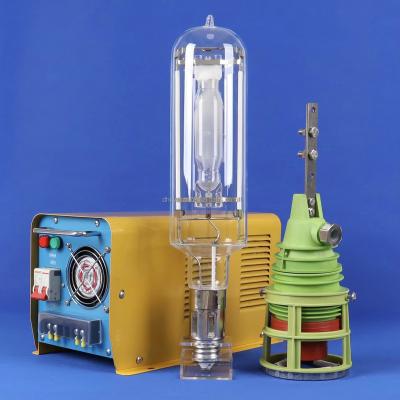 China 2000w Quartz Fishing Lamp Built-in On Water Quartz Metal Halide Squid Fishing Lamp Outdoor Lamp for sale