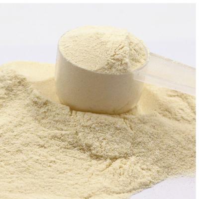 China Supply of 80% Protein Size Private Label Whey Protein Powder Supplement Custom Whey Protein Powder for sale