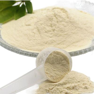 China Supply of 80% Protein Private Label Whey Protein Isolate WPI 90% Whey Protein Concentrate Whey Protein Powder for sale