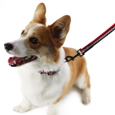 China Hot Amazon Sales Dog Harness Breathable Padded Mesh Chest Back With Dog Leash for sale