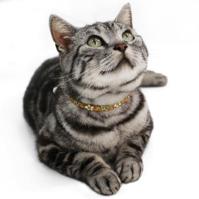 China Wholesale JEWELED Cat Collar Pet Supplies Factory BSCI Kitten Jewelry Pet Accessories Customer Kitten Collar With Bell for sale