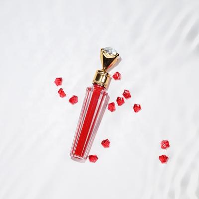 China Wholesale custom vegan waterproof organic shimmer private label logo matte lip gloss for sale