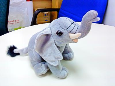 China stuffed and plush wild elephant for sale