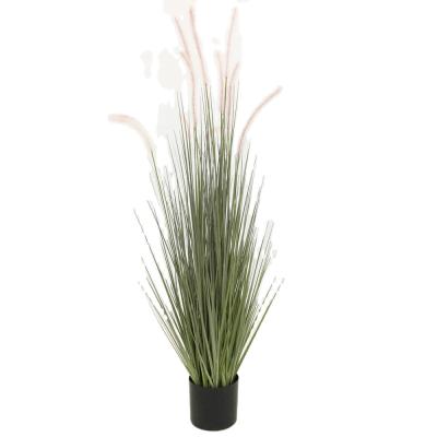 China Real Natural Touch Looking Artificial Reed Grasses Plants With Pot For Home Decor for sale