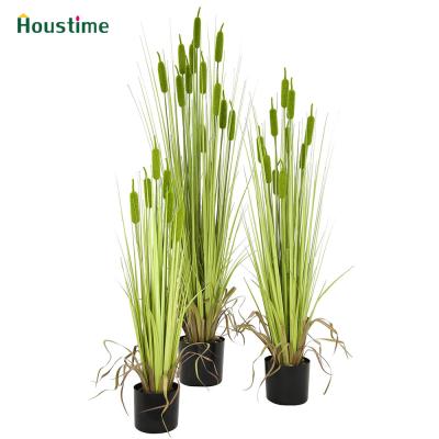 China Home Decoration Artificial Cat Tail Grass For Garden Decoration for sale