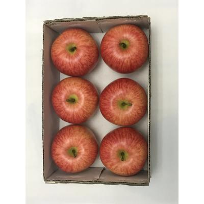 China Real Looking Artificial Fruit Top Grade Fake Apple For Decoration for sale