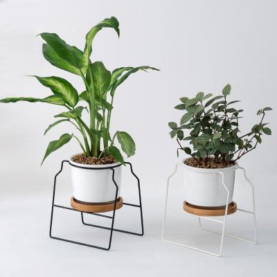 China Modern Ceramic Pots For Snake Plant Medium Indoor Ceramic Planters for sale