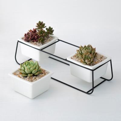 China Mini Square White Garden Pottery Modern Plants Planters Ceramic Succulent Pot Sets for sale