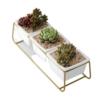 China Modern Small Square Metal Stand White Succulent Plants Pot Set for sale