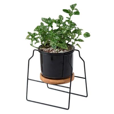 China Modern Wholesale Black Indoor Outdoor Decoration Metal Stand Plants Flower Ceramic Pots for sale