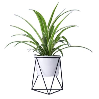 China Modern Ceramic Floor Flowerpot Indoor Porcelain Green Plant Pots With Black Rack for sale