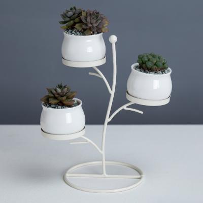 China OEM Design Modern White Round Porcelain Plant Ceramic Pots Holders for sale