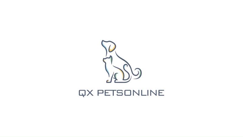 Verified China supplier - Qingxi(Hangzhou) Pet Products Co., Ltd.