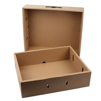 China Recyclable Zb Apple Fruit Packaging Boxes Storage Container Cardboard Boxes For Fruits And Vegetables for sale