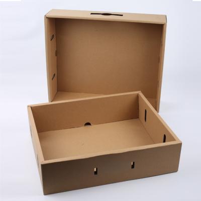 China Dry Recyclable Cardboard Pet Fruit Piping Paper Packing Box for sale