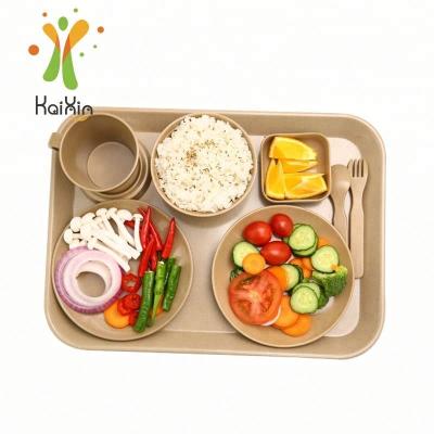 China Hotel Home Restaurant Rice Husk China Manufacturer Natural Degradation Fast Biodegradable Food Tray for sale