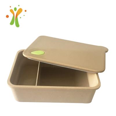 China Biodegradable Food Container Food Products Hot Rice Pod Biodegradable Lunch Box Bento Box Set With Fork Spoon for sale