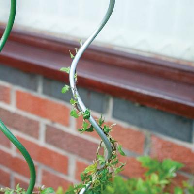 China Supporting Tomato or Other Vine Tomato Growing Plant Support Spiral Wire for sale