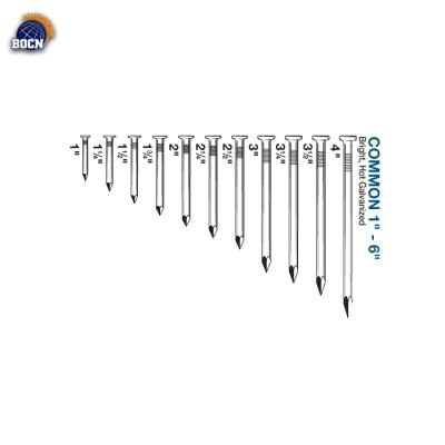 China Construction Common Nails China Factory Common Nails With Good Price for sale