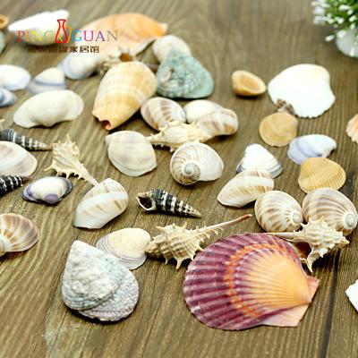 China China Sea Shells Crushed Mother Of Pearl For Engineered Mini Angel Bag Seashell Style Organic Color Package Stone Decoration Technique for sale