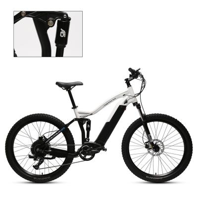 China Alloy Adult 48V Lithium Battery Mid Drive Motor Aluminum Electric Bike 500W for sale