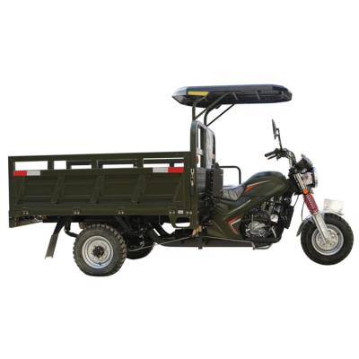 China Chinese Cargo High Performance Gas Moped Tricycle With Pedals for sale