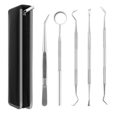 China Commercial Furniture 2021 Dental Instruments Kit Stainless Steel Hygiene Household Cleaning Tool Box 5 Piece Dentist Tool Set Oral Care Tools for sale