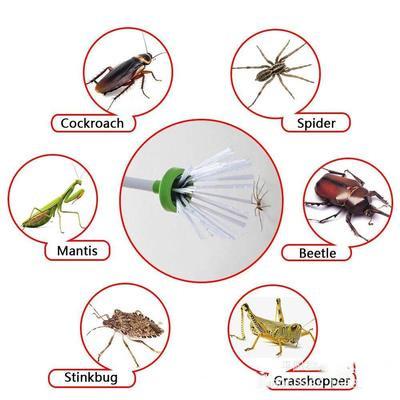 China Viable Hand Held Insect Catcher Spider Trap Spider Trap Travel Trap Centipede Pest Control Humanitarian Capture Tools for sale