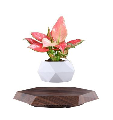 China Outdoor Latest Magnetic Levitation Technology Natural Model Rattan Planter and Planters Floating Magnetic Levitation Stash Pots for Plants for sale