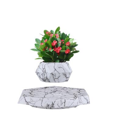 Chine Magnetic Levitation Technology Bonsai Live Chinese Elm Outdoor Bonsai Tree in Plastic Cultivator Magnetic Levitation Floating Pots for Plants à vendre