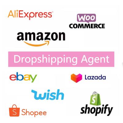 China High Quality Free No MOQ And Low Freight Drop Shipping Agent Free Warehouse Shopify Dropshipping Service Agent for sale