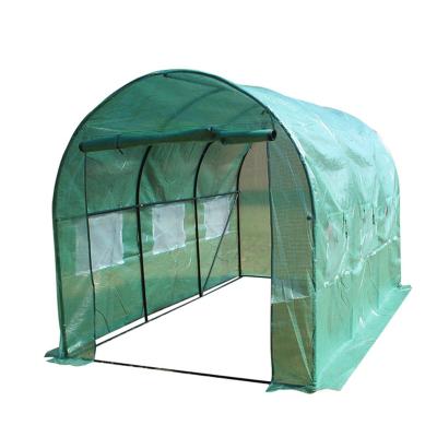 China GREENDAY Single-span Small Mini Greenhouse Commercial Greenhouse Easily Assembled Garden Greenhouses For Sale for sale