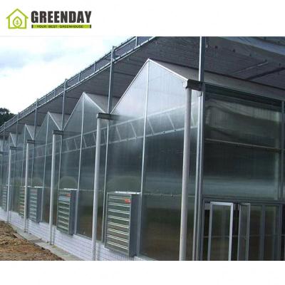 China Stable Structure GREENDAY Multi Span Blackout Polycarbonate Greenhouse Sale for sale