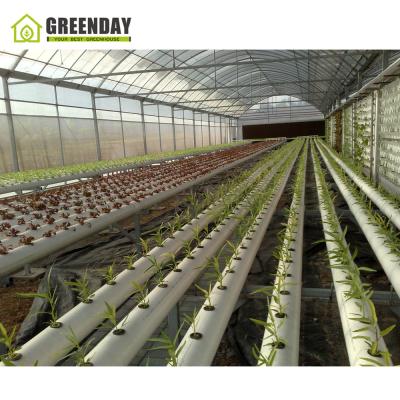 China Stable Structure GREENDAY China Supplier Hydroponic Greenhouse For Agriculture for sale