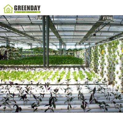 China Stable Structure GREENDAY Horizontal And Vertical Greenhouse Complete Hydroponic System for sale