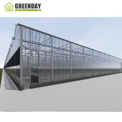 China Stable Structure GREENDAY 4mm Plastic Commercial Hydroponic Glass Unscratched For Greenhouse Vegetables for sale