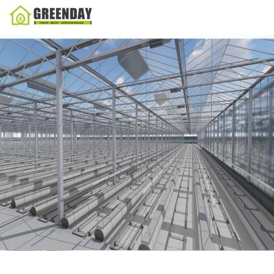 China Stable structure GREENDAY venlo 4mm tempered professional greenhouse glass for breeding for sale