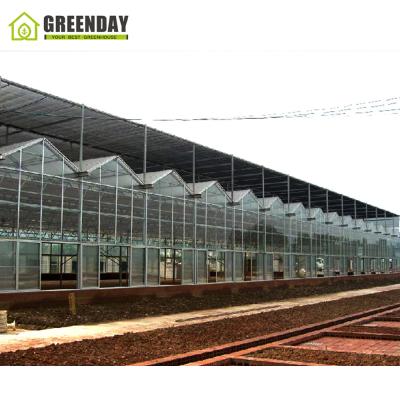 China Stable structure GREENDAY sheets greenhouse multi-span UV plastic cheap plastic greenhouse for tomatoes for sale