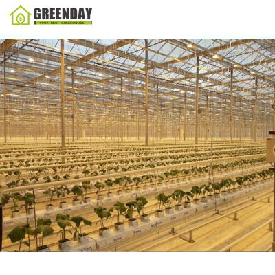 China Stable Structure GREENDAY Polycarbonate Hydroponic Greenhouse For Sale for sale