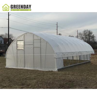 China Stable Structure GREENDAY Indoor Agricultural Greenhouse Plastic Sheet Film Tunnel Greenhouse for sale