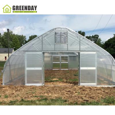 China Stable structure GREENDAY the cheapest greenhouse film cover single-span tunnel greenhouse for sale