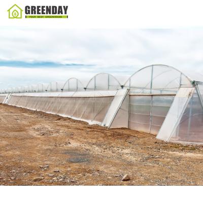 China Stable Greenhouse Plastic Greenhouse Sheet Hydroponic Greenhouse Low Cost Green Structure GREENDAY House for sale