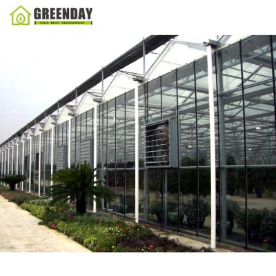 China Stable structure GREENDAY high quality glass hydroponic greenhouse systems multispan fiberglass greenhouse for sale